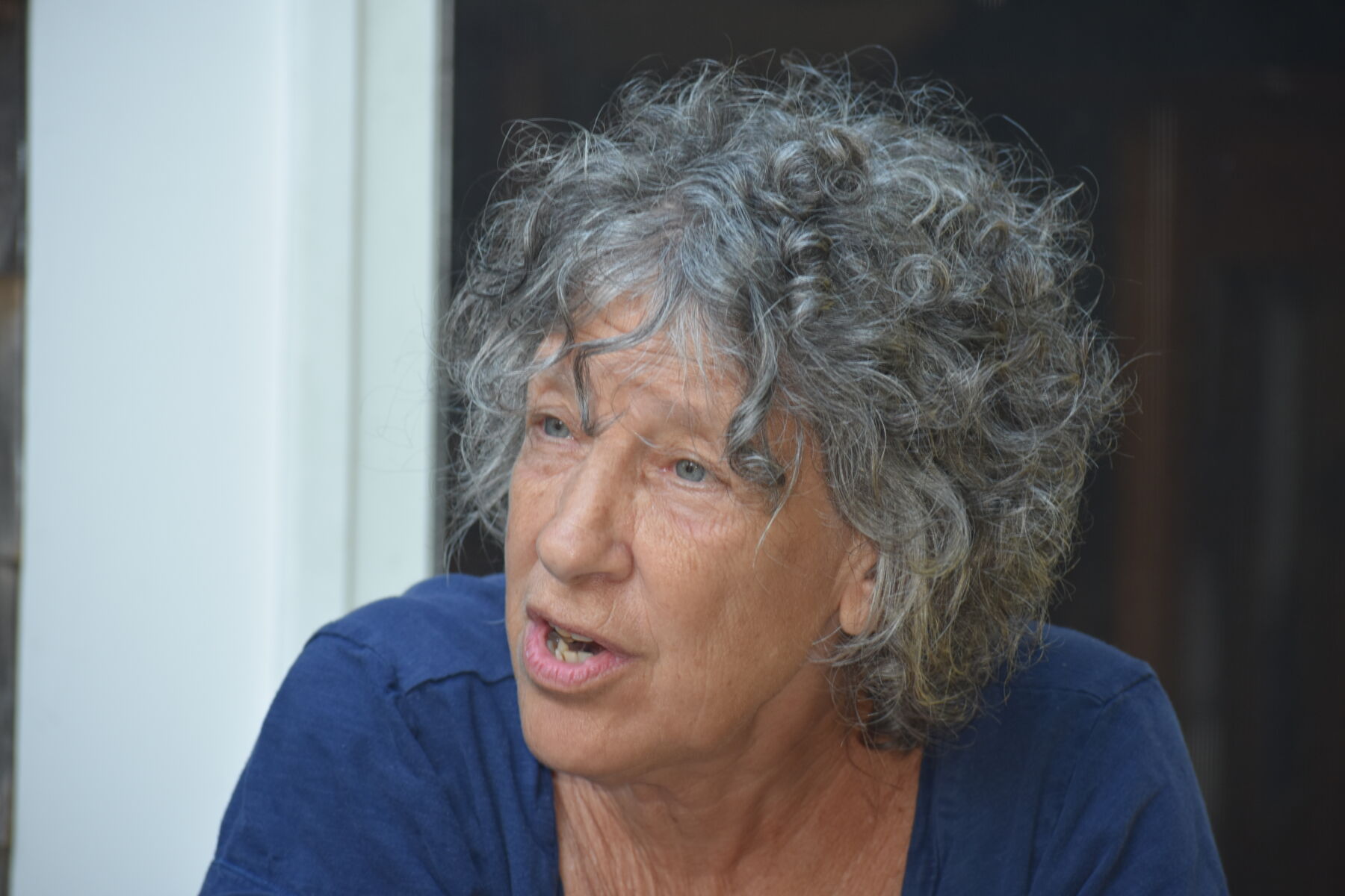 An elderly person with curly gray hair is speaking while seated. They are wearing a dark blue shirt.