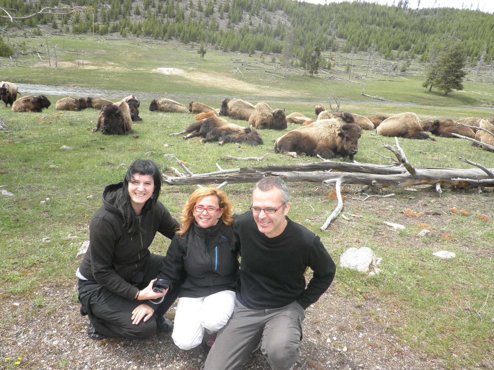 Three people kneel and smile in the foreground with a meadow and a herd of bison resting in the background.