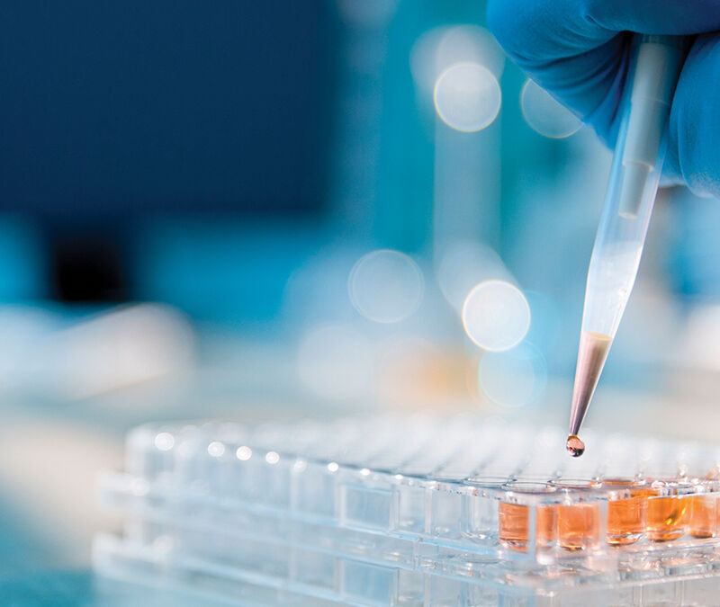 A gloved hand uses a pipette to add liquid to a multiwell plate in a laboratory setting.